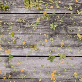 £ 9,000, Morris, Commercialjtype, Crew Van, 2.8L, Petrol Plug-in Hybrid, Automatic