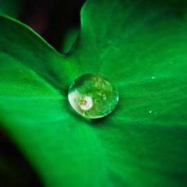 £ 47,100, Toyota, Corolla(E20), Conversion Van, 6.0L, Bio Fuel, Automatic