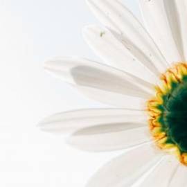 £ 42,000, Hyundai, Staria, Cargo Van, 1.6L, Petrol Hybrid, Automatic