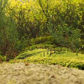 £ 9,100, Derbi, DRD Edition 50 SM, 1.0L, Bio Fuel