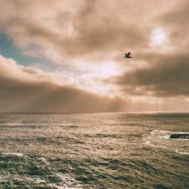 £ 9,100, Derbi, DRD Edition 50 SM, 1.0L, Bio Fuel