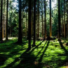 £ 17,700, Kreidler, Supermoto125 DD, Chopper, 700cc, Petrol Hybrid