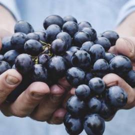 £ 3,900, Sherco, SE 250i Racing, Superbike, 1.5L, LPG