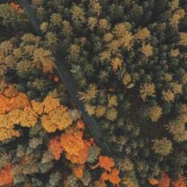 £ 42,800, Boss Hoss, ZZ4 350 (355 hp version), Standard (Roadster), 1.6L