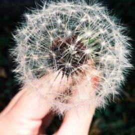 £ 10,300, KTM, 250 XC, Chopper, 150cc, Petrol Hybrid