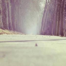 £ 43,900, Vmoto, Mozhan, 700cc, Petrol